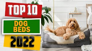 10 Best Dog Beds of 2022 For Large Small Medium Dogs [upl. by Cohlier]