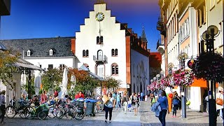 Landau  Pfalz Marktplatz Winzergarten Teutsch  Edenkoben Weingut Anselmann  Edesheim [upl. by Myer834]