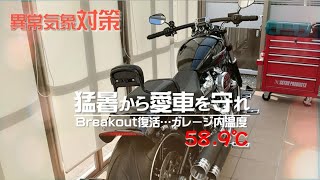 【ハーレー】 ブレイクアウト復活  ブルーパンサーで修理完了でハーレーのある暮らしに  異常気象のテラスの対策！ 【モトブログ】 [upl. by Gnoh]