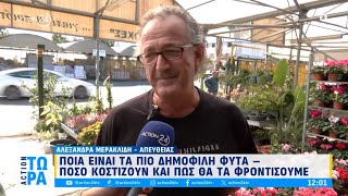 Αυτά είναι τα πιο δημοφιλή φυτά Πόσο κοστίζουν και πώς θα τα φροντίσουμε  ACTION Τώρα  ACTION 24 [upl. by Dan]