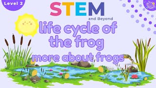 Life Cycle of a Frog  KS1 Year 2 Science  STEM Home Learning [upl. by Arsi]