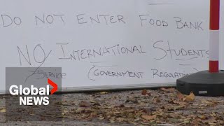 Brampton food bank faces backlash over quotNO International Studentsquot sign [upl. by Bryan]