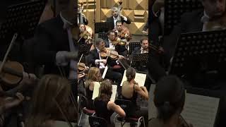 Brahms  Symphony No4  Allegro non troppo  Musicorum Tempora [upl. by Etnuhs]