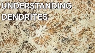 UNDERSTANDING DENDRITES MINERALOGY 🌴 [upl. by Akena]