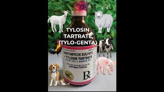 GENTAMICIN SULFATE  TYLOSIN TARTRATE TYLOGENTA [upl. by Calia]