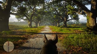 Braithwaite Manor  Beauty of Red Dead Redemption 2 [upl. by Shrier777]