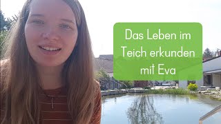 Das Leben im Teich erkunden mit Eva [upl. by Vano]