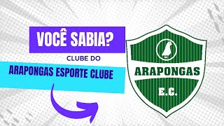 POR QUÊ SURGIU O ARAPONGAS ESPORTE CLUBE DO PARANÁ CAMPEONATO PARANAENSE 2024 [upl. by Leuneb]