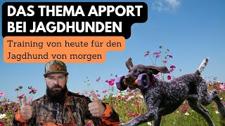 Das Thema quotApportquot in der modernen Jagdhundeausbildung [upl. by Morty360]