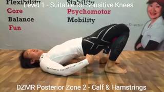 DZMR Posterior Zone 2  Calf amp Hamstrings [upl. by Valley]