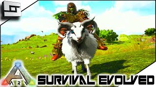 ARK Survival Evolved  OVIS TAMING  BREEDING E8  Ark Ragnarok Map [upl. by Sadiras]