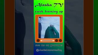 Homesteading Off Grid Living Living off the road system winter 2024 creek freeze up [upl. by Gwyneth658]