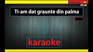 karaoke TIAM DAT GRAUNTE DIN PALMA negative [upl. by Niwhsa]