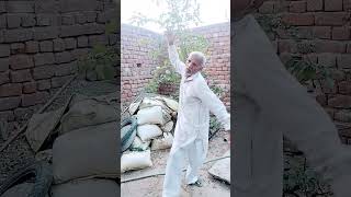 chone ma parfum lagav 😆😍🙄😄🌄 comedy dance video with a jaggu jageera [upl. by Phylis652]