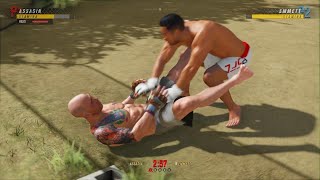 Good kick ufc 4 [upl. by Eveline]