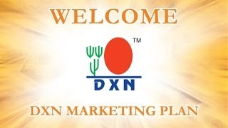 DXN Marketing Plan Hindi Version [upl. by Gadmann]