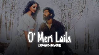 O Meri Laila  Radio version full song lofi slowedreverb  Laila Majanu omerilaila lailamajnu [upl. by Gar]