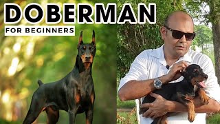 Best DOBERMAN Pinscher  The Guard amp Watch Dog Facts  Smartest Dog in the World  Baadal Bhandaari [upl. by Sumner]