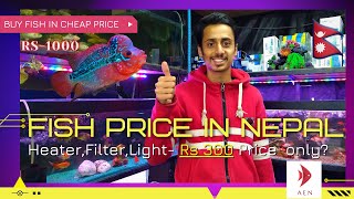 Fish Price In Nepal  Aquarium Heater Filter Price In Nepal  Fish Price Aquarium Fish Shop Tour [upl. by Ttcos]