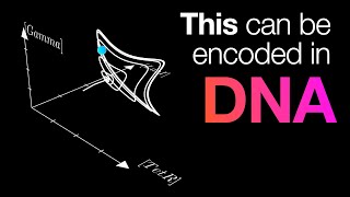 The Surprisingly Deep Connection of Math and Biology TMEB 0 [upl. by Skell]