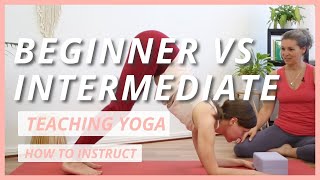 How to Teach Beginners vs Intermediate Yoga Students [upl. by Rett809]