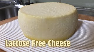 Lactose Free Cheese  In The Style of Caerphilly [upl. by Gnoz]