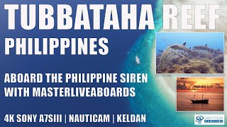 4K Tubbataha Reef Philippines Scuba diving aboard the Philippines Siren liveaboard in June 2024 [upl. by Rebna941]