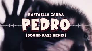 Raffaella Carrà  PEDRO tik tok hit SOUND BASS Remix pedro trendingmusic soundbass [upl. by Rosabelle]