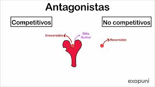 Farmacodinamia  Antagonismo [upl. by Avah]