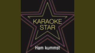 Ham kummst Karaoke Version Originally Performed by Seiler amp Speer [upl. by Atteuqram]