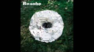 Bonobo  Between The Lines feat Bajka [upl. by Nasus]