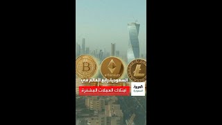 السعودية رابع العالم في امتلاك العملات المشفرة [upl. by Anirtac492]