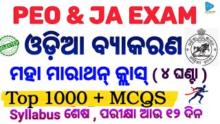 Odia Grammar Marathon Class  ଓଡ଼ିଆ ବ୍ୟାକରଣ ମାରାଥନ୍  1000 MCQS by PATTANAYAKEDUCATION PEO JA [upl. by O'Doneven]