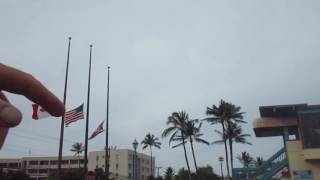 Flags at Half Mast to Remember Pearl Harbour [upl. by Lekim]