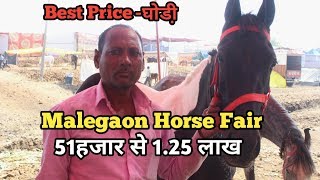 Malegaon horse fair 2019इस व्यापारी के पास है 51 हजार से 125 लाख तक की घोड़ियाcontact8007583622 [upl. by Ihcelek]