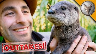 Playful Baby Otter  Outtakes [upl. by Hyacinthe]