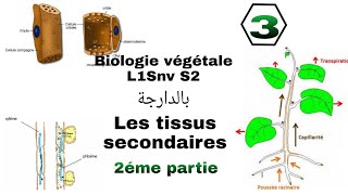 شرح بالدارجة للجزء الثاني من الدرس الأول في Biologie végétale L1 Snv s2 les tissus végétaux [upl. by Picker664]