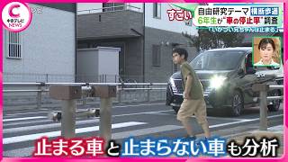 【自由研究テーマは車の停止率】 小学6年生が自由研究で“車の停止率”調査 調査した車の反則金の合計は…？ [upl. by Natsirk]