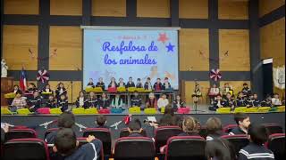 2°A  Refalosa de los animales  Muestra de Música Chilena 2024 [upl. by Anyr]