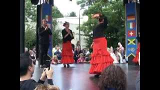 Spaanse flamenco dans show met Spaanse danseressen Los del Sol in de Efteling [upl. by Nevai]