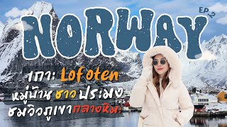 Norway EP2 🇸🇯Lofoten เกาะแห่งสวรรค์ หมู่บ้านชาวประมง Hamnøy  สนามฟุตบอลสวยที่สุดในโลก [upl. by Noned]