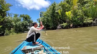 Tiga jenis ikan besar yang berbedaMancing joran bambu [upl. by Aowda909]