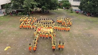 STC Intramurals 2015  Golden Seniors Cheer Dance [upl. by Aylat]