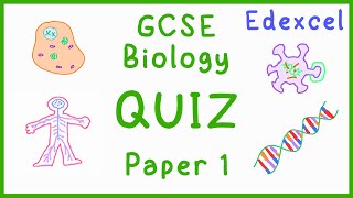 GCSE Biology Paper 1 Quiz Edexcel [upl. by Tnilk]