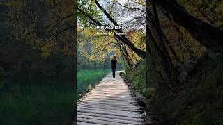 Plitvice lakes Summer vs autumn The beauty of both plitvice plitvicelakesnationalpark shorts [upl. by Aihsatan]