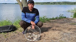 ОТЛИЧНЫЙ КЛЕВ НА ОСКОЛ ЗА ЛЕЩЕМ И СОМОМ РЫБАЛКА НА ОСКОЛЕ ЛОВЛЯ ОКУНЯ НА ВЫПОЛЗКА [upl. by Saito]