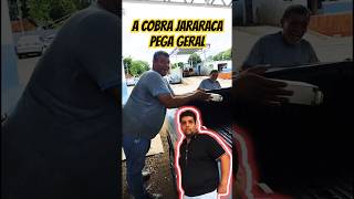 ACHARAM UMA COBRA NO TRABALHO Simplescampo comedia pegadinha [upl. by Haimehen]