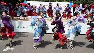 百華夢想 東京支部【4K・手持ち】／神宮会館ステージ／原宿表参道元氣祭スーパーよさこい 2024（2日目） [upl. by Ahsyekat214]