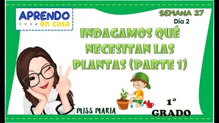 Sesión Indagamos qué necesitan las plantas parte 1 1er grado [upl. by Aninnaig]