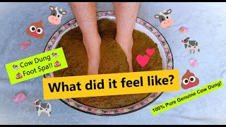 Cow Dung Foot Spa My Experience [upl. by Nrublim]